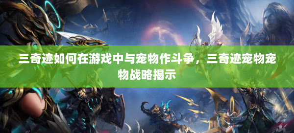 三奇迹如何在游戏中与宠物作斗争，三奇迹宠物宠物战略揭示