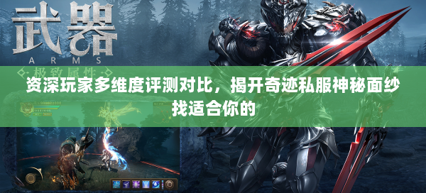 资深玩家多维度评测对比，揭开奇迹私服神秘面纱找适合你的