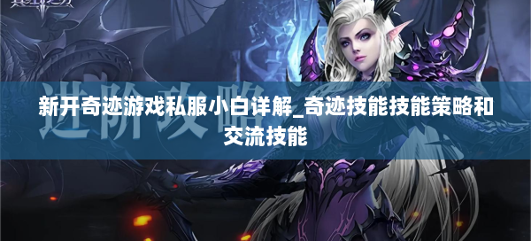 新开奇迹游戏私服小白详解_奇迹技能技能策略和交流技能